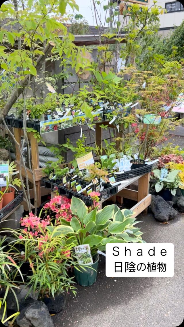 株式会社芳樹園 | 園芸資材、植物卸・お庭造り・ブライダル